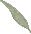 flower_1.png