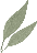 flower_2.png